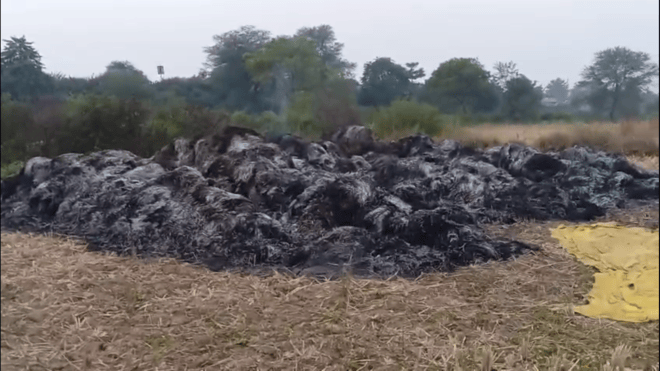 सौ बोरी धान जलकर खाक |