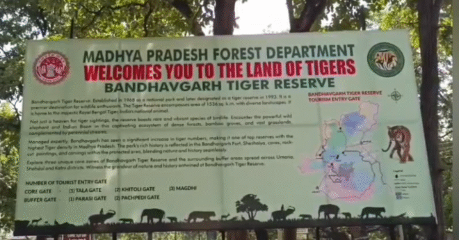 बांधवगढ़ टाइगर रिजर्व