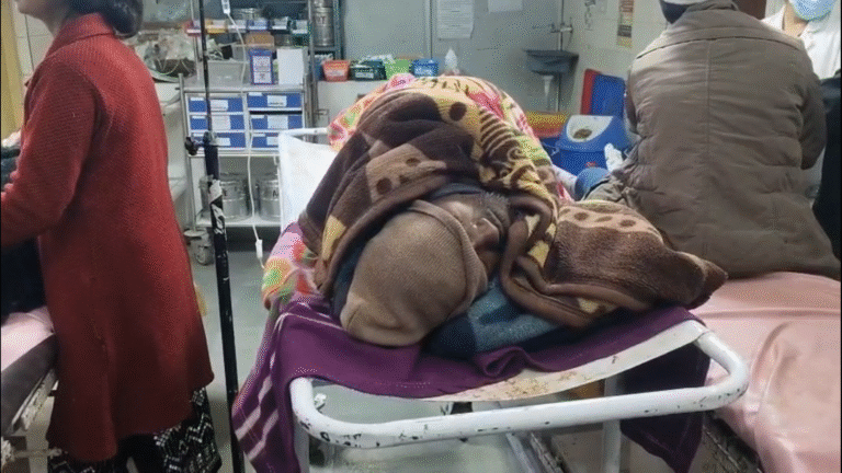 बाघ ने वृद्ध पर किया हमला