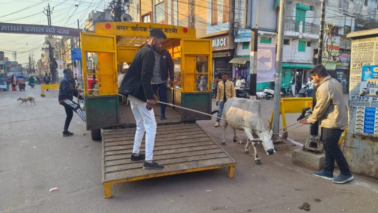 WhatsApp Image 2026-01-15 at 7.34.27 PM (1)