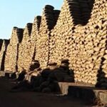 WhatsApp Image 2026-01-24 at 5.47.37 PM