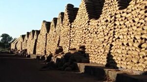 WhatsApp Image 2026-01-24 at 5.47.37 PM