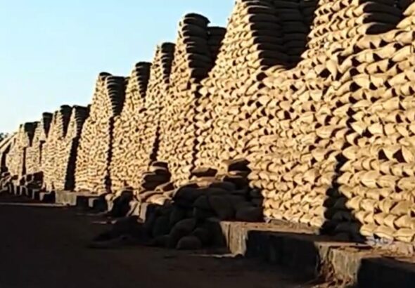 WhatsApp Image 2026-01-24 at 5.47.37 PM