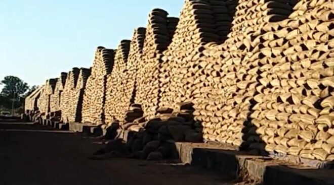 WhatsApp Image 2026-01-24 at 5.47.37 PM